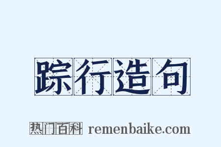 踪行造句是什么意思的图片